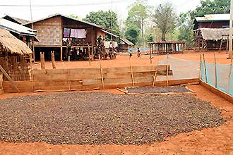 Click for large image !