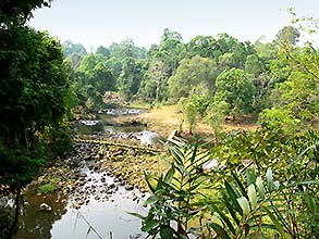 Click for large image !