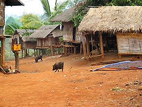 Click for large image !