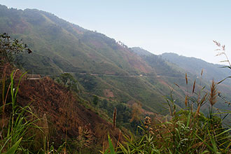 Click for large image !