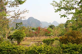 Click for large image !