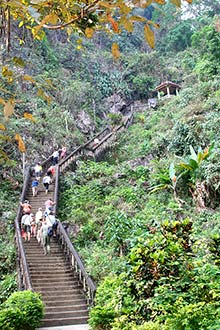 Click for large image !