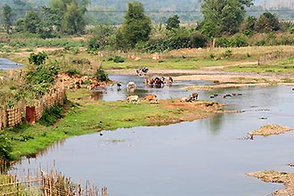 Click for large image !