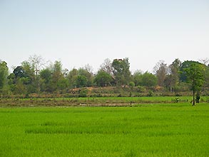 Click for large image !