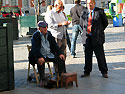Madrid  -  Click for large image !!