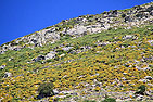 Naxos  -  Click for large image !