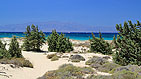 Naxos  -  Click for large image !