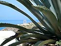 Naxos  -  Click for large image  !!