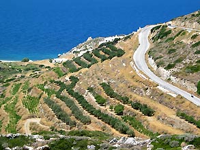 Naxos  -  Click for large image  !!
