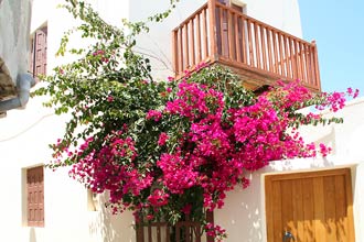 Naxos  -  Click for large image  !!