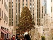 New York, Christbaum vor dem Rockefeller Center,  zum Vergroessern bitte anklicken!