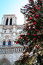 Paris, Notre Dame - Click for large image !