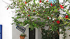 Paros, Click for large image !