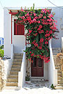 Paros