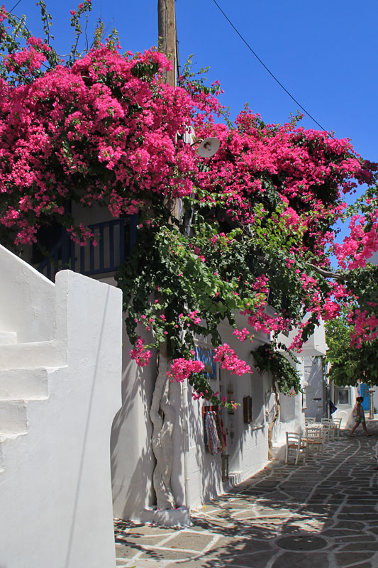 Paros