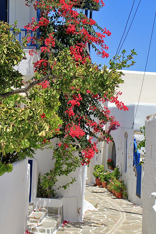 Paros