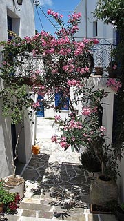 Paros - Click for large image !