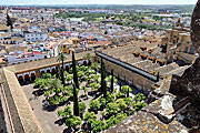 Cordoba