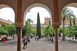 Cordoba