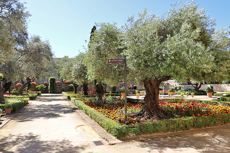  Jerez de la Frontera 