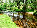 Dartmoor  -  Click for large image !
