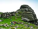 Dartmoor  -  Click for large image !