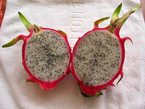 dragonfruit