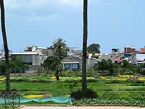 Nha Trang, vegetable- and flowerbeds